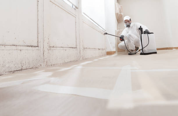 24/7 Emergency Attic Mold Remediation experts in Swampscott, MA